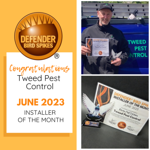 Installer of the Month June 2023 Tweed Pest Control