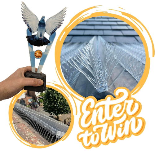 Defender Bird Spikes Trade Installer of the Month - Enter to Win