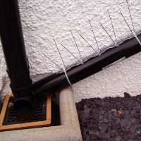 Defender® Pipe Spikes stop pigeons from roosting on pipes around your property