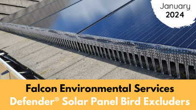 Falcon Environmental Services | January | 2024