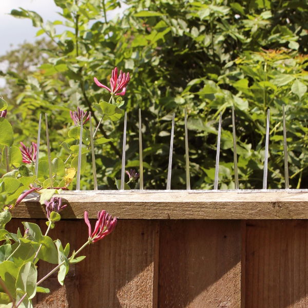 Defender Narrow Plastic Pigeon Spikes installed on a fence to stop pigeons landing on it