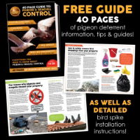 Defender® Wide Plastic Pigeon Spikes  come with a 40-Page Bird Control Guide