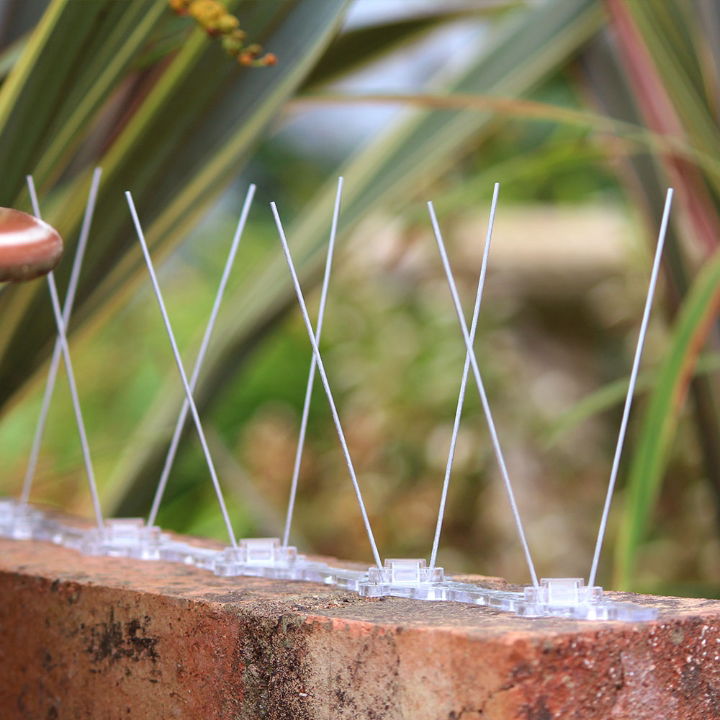 Defender® Narrow Stainless Steel Bird Spikes installed on brick wall to stop pigeons landing on walls