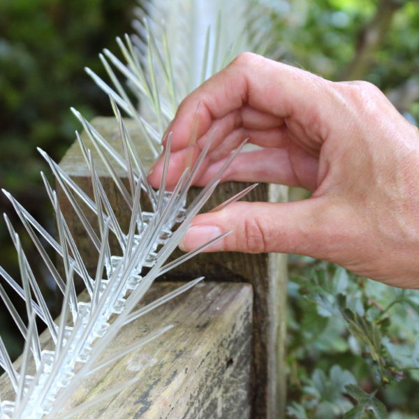 Defender® Thistle® Small Bird Spike being installed to stop starlings and sparrows on a fence