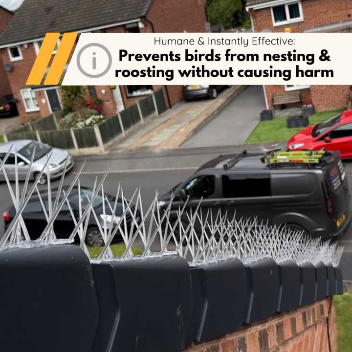 A row of Defender wide plastic pigeon spikes installed along a black rooftop ledge, overlooking a suburban street, acting as a humane bird deterrent.