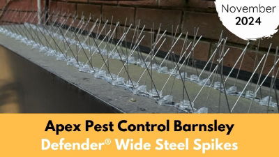 Apex Pest Control Barnsley | November | 2024