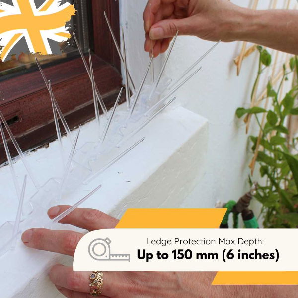 A person pressing Defender wide plastic pigeon spikes onto a white ledge, demonstrating how to install them securely using adhesive.