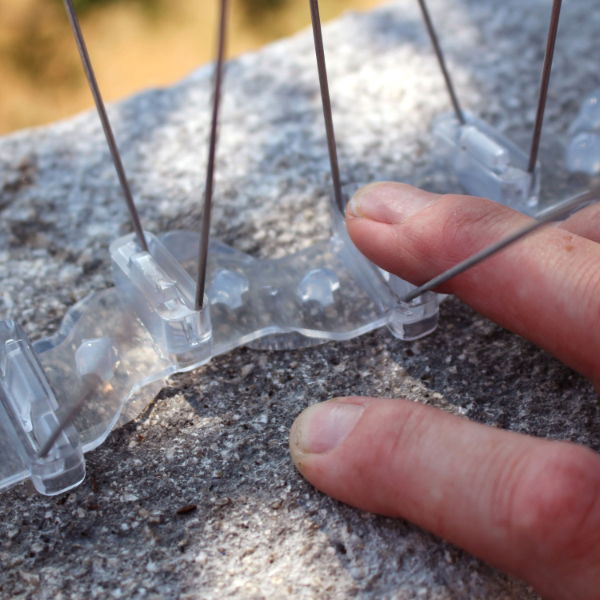 Glue oozing through the base of Defender® Gull Spikes, it has locking holes to secure them in place