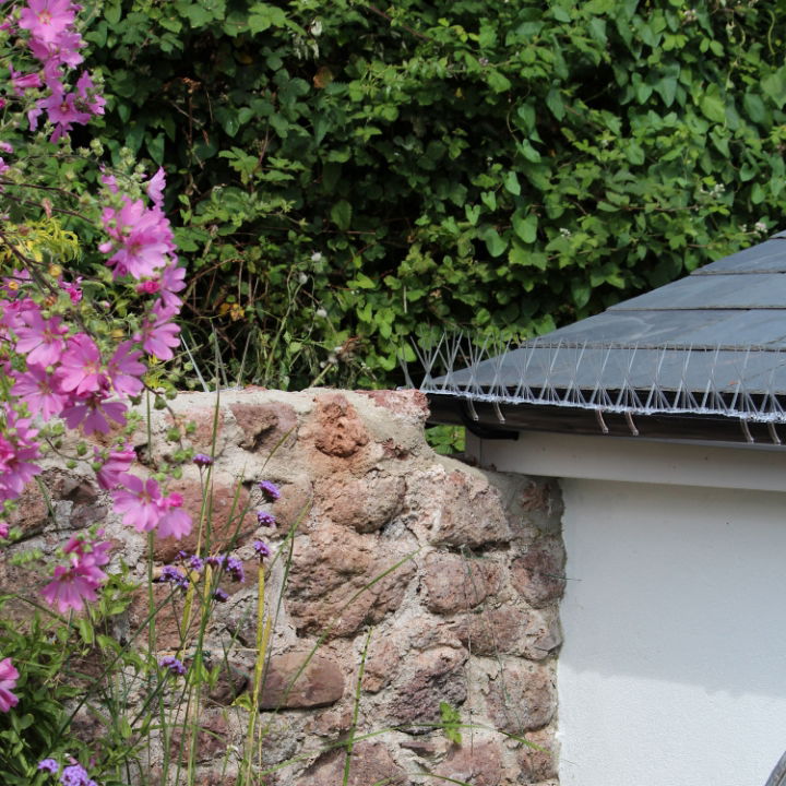 Defender® Gutter Spikes installed on house guttering are very discreet once installed 