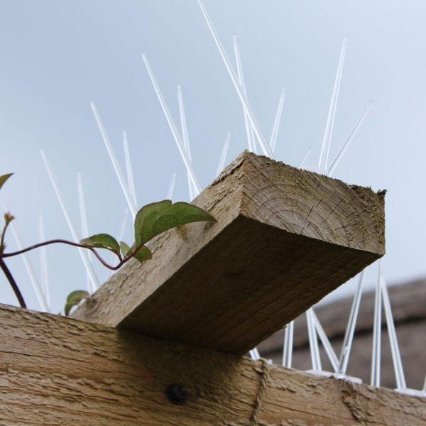 Defender® Wide Plastic Pigeon Spikes installed on a wooden beam using screws