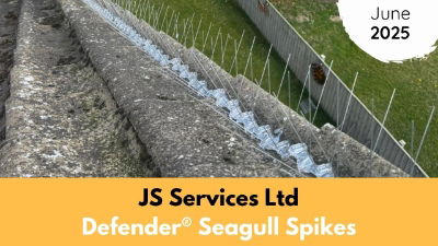 JS Services | June | 2025