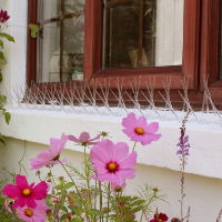 Defender® Wide Plastic Pigeon Spikes installed on a white stone window sill