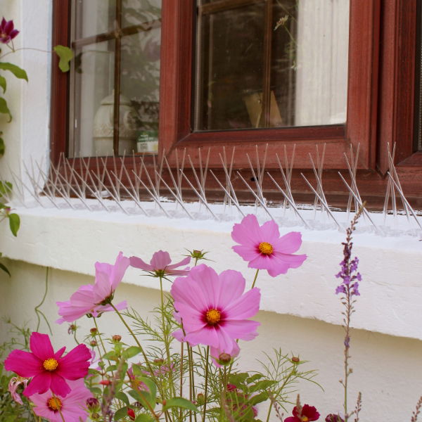 Defender® Wide Plastic Pigeon Spikes installed on a white stone window sill