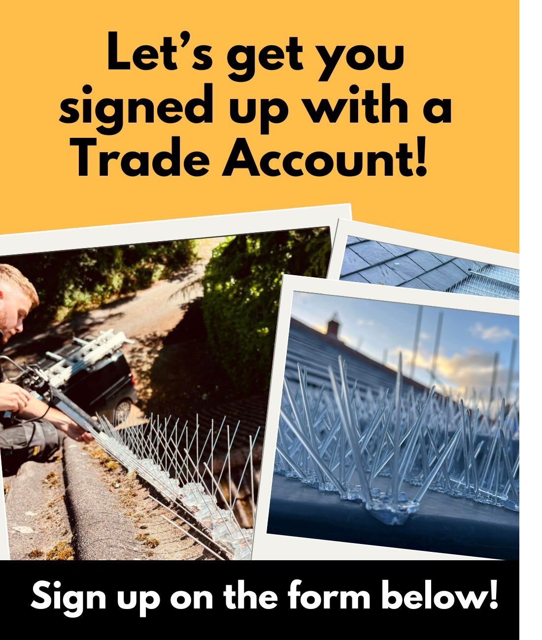 Defender Bird Spikes Trade Account - Open Now