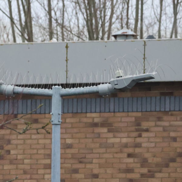 Defender® Street Light Spike - Ideal for stopping pigeons and seagulls in car parks