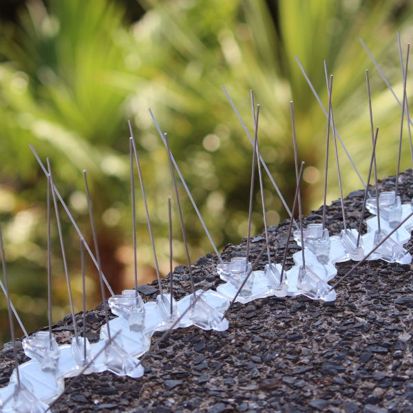 Defender® Extra Wide Bird Spikes stop pigeons landing on walls up to 30 cm