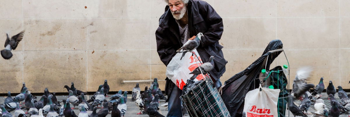 Stopping people feeding pigeons is part of the solution to stopping an infestation