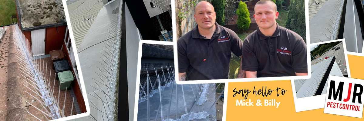 MJR Pesr Control | Defender Bird Spikes Installer of the Month Winners