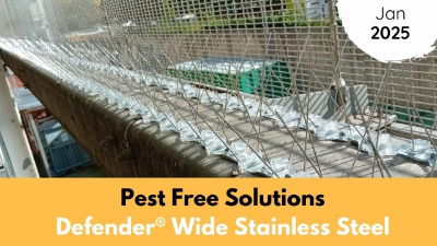 Pest Free Solutions | January | 2025