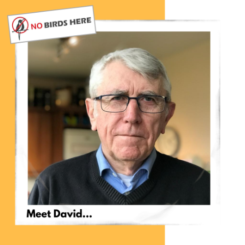 No Birds Here - David | Defender Bird Spikes Distributor