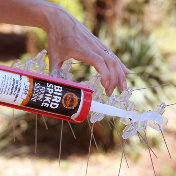 Heavy Duty Professional Skeleton Gun -  Glue being applied to bird spike base with caulking gun